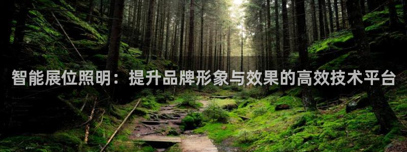 智能展位照明：提升品牌形象与效果的高效技术平台