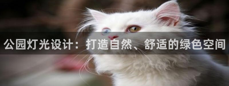 公园灯光设计：打造自然、舒适的绿色空间