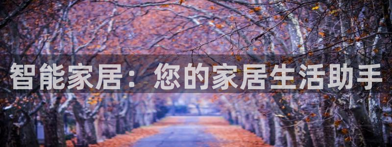 智能家居：您的家居生活助手