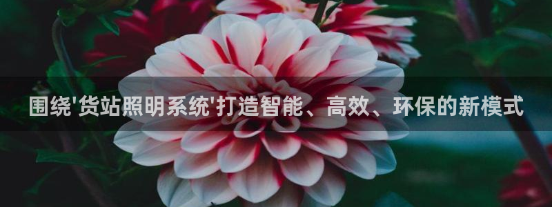 围绕\'货站照明系统\'打造智能、高效、环保的新模式