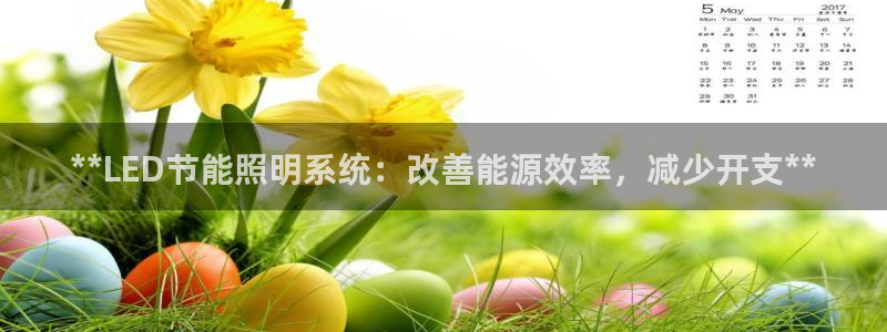 **LED节能照明系统：改善能源效率，减少开支**