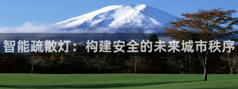 智能疏散灯：构建安全的未来城市秩序