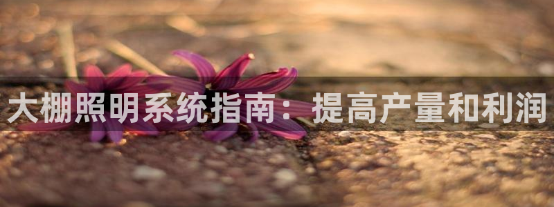 大棚照明系统指南：提高产量和利润