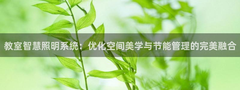 教室智慧照明系统：优化空间美学与节能管理的完美融合