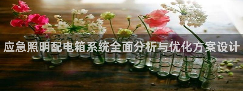应急照明配电箱系统全面分析与优化方案设计