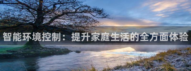 智能环境控制：提升家庭生活的全方面体验