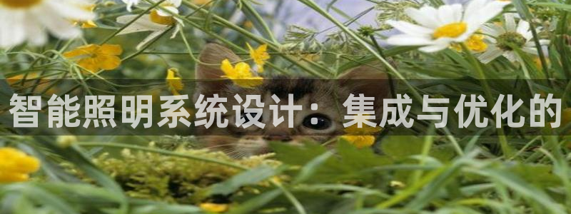 智能照明系统设计：集成与优化的