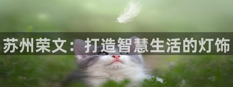 苏州荣文：打造智慧生活的灯饰