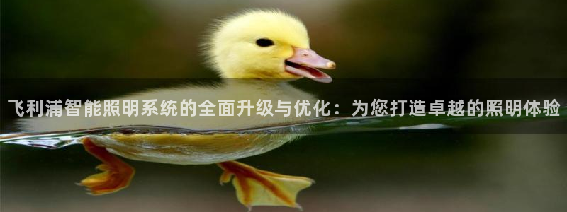 飞利浦智能照明系统的全面升级与优化：为您打造卓越的照明体验