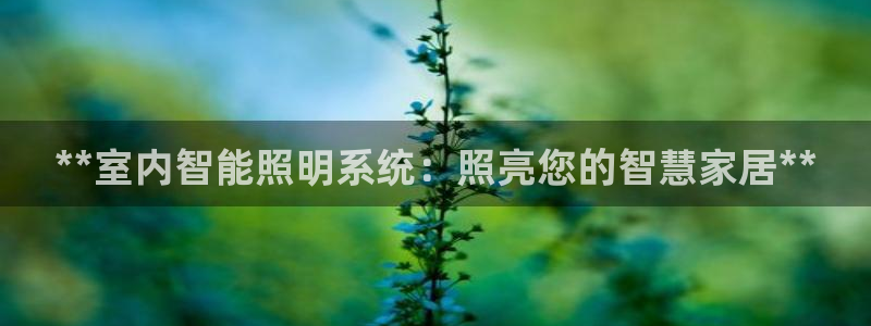 **室内智能照明系统：照亮您的智慧家居**