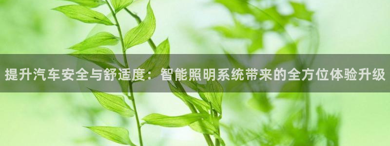 提升汽车安全与舒适度：智能照明系统带来的全方位体验升级