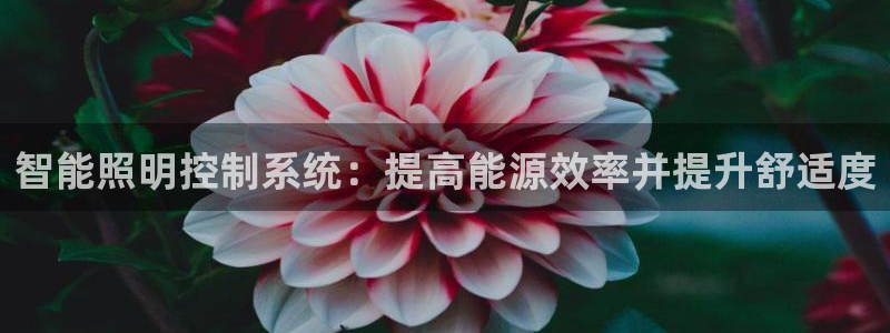 智能照明控制系统：提高能源效率并提升舒适度