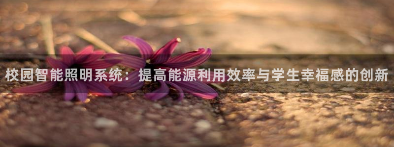 校园智能照明系统：提高能源利用效率与学生幸福感的创新