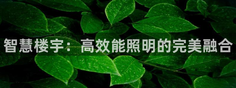 智慧楼宇：高效能照明的完美融合