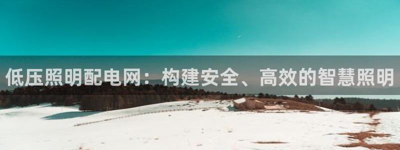 低压照明配电网：构建安全、高效的智慧照明