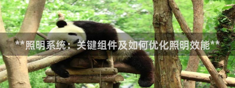 **照明系统：关键组件及如何优化照明效能**