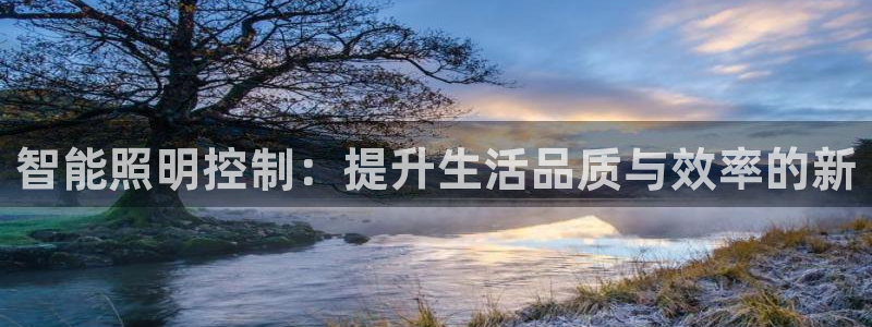 智能照明控制：提升生活品质与效率的新