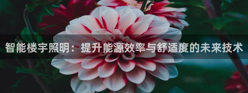 智能楼宇照明：提升能源效率与舒适度的未来技术