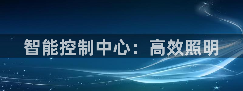 智能控制中心：高效照明