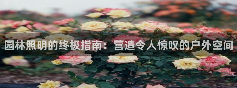 园林照明的终极指南：营造令人惊叹的户外空间