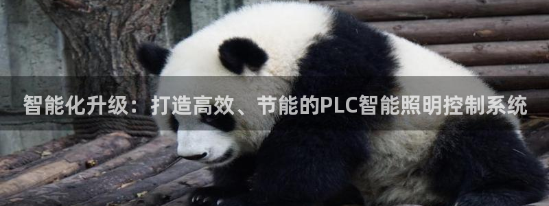 智能化升级：打造高效、节能的PLC智能照明控制系统