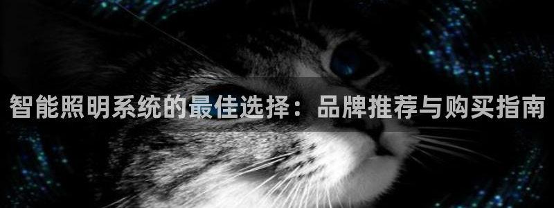 智能照明系统的最佳选择：品牌推荐与购买指南