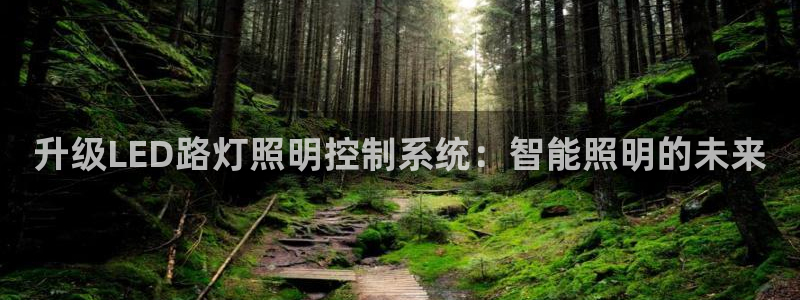 升级LED路灯照明控制系统：智能照明的未来