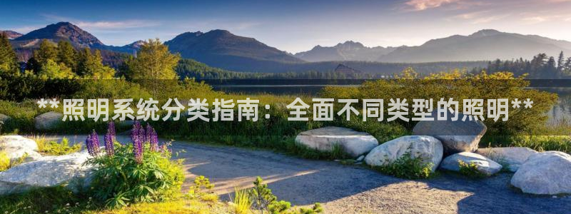 **照明系统分类指南：全面不同类型的照明**