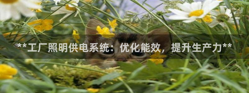 **工厂照明供电系统：优化能效，提升生产力**