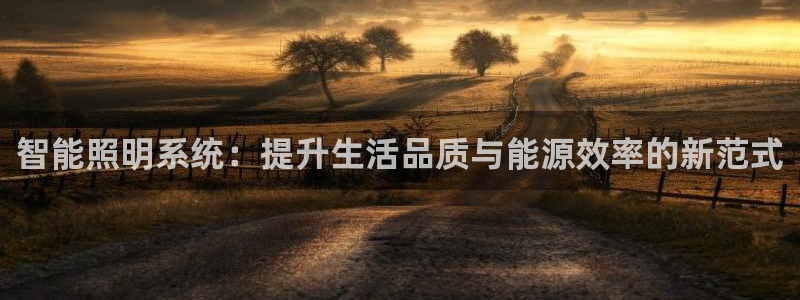 智能照明系统：提升生活品质与能源效率的新