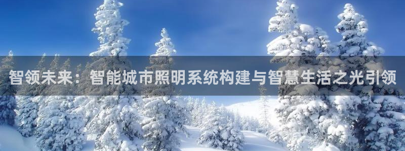 智领未来：智能城市照明系统构建与智慧生活