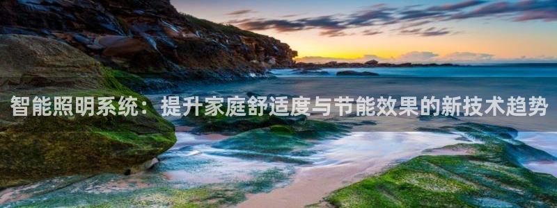 智能照明系统：提升家庭舒适度与节能效果的