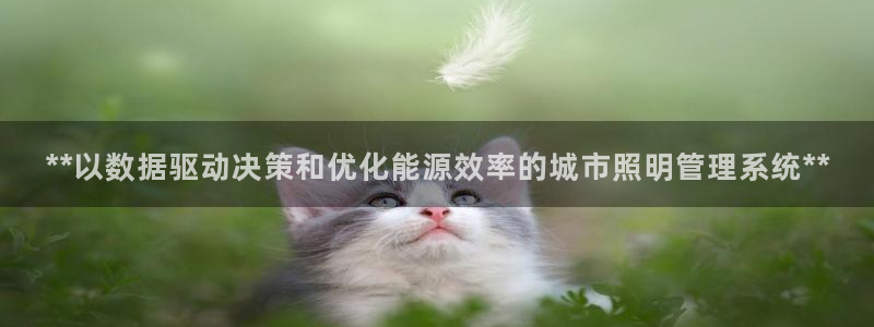 **以数据驱动决策和优化能源效率的城市照