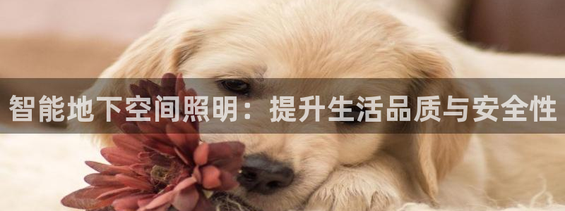 智能地下空间照明：提升生活品质与安全性