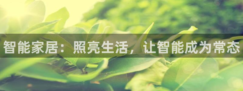 智能家居：照亮生活，让智能成为常态