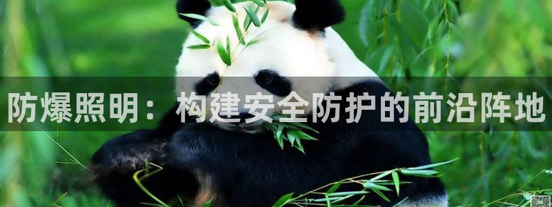 防爆照明：构建安全防护的前沿阵地